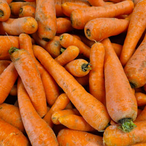 Carottes