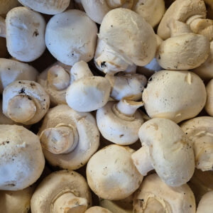 Champignons de paris