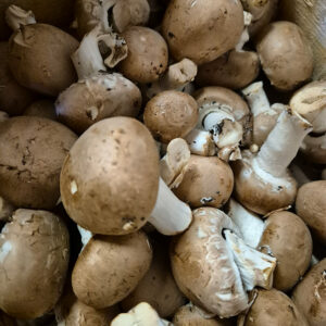 Champignons de paris Brun