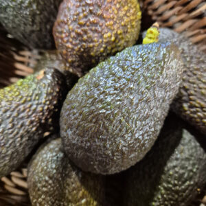 Avocat