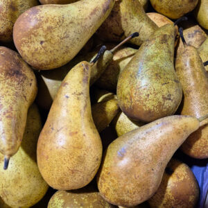 Poires "Conférence"