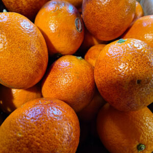 Oranges Sanguine