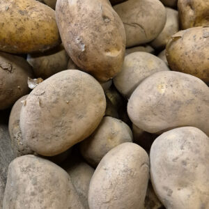 Pommes de terre Agata