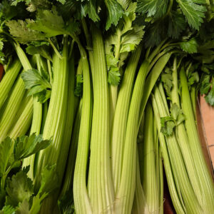 Céleri Branche