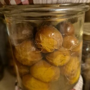 Conserve de Mirabelles