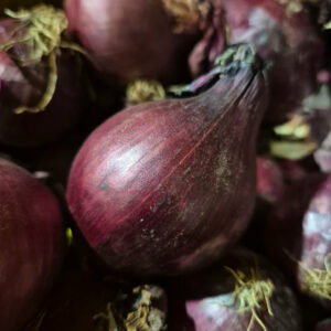 Oignons rouge