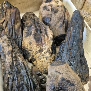 Betterave longue cuite