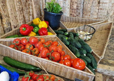 Les légumes de la Chauvetterie