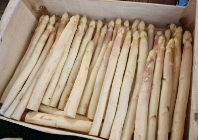 Les légumes de la Chauvetterie