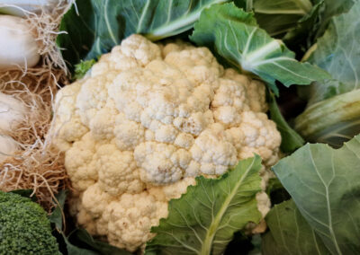 Les légumes de la Chauvetterie