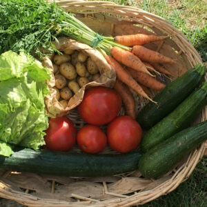 Panier de saison - petit