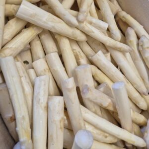 Asperges pointes