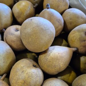 Poires "Morgan"