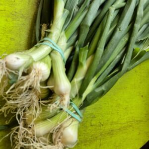 Oignons Blanc