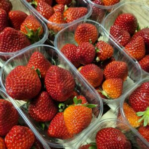 Fraises 250grs