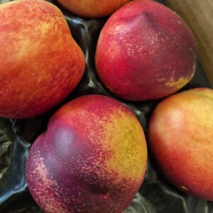 Nectarine blanche