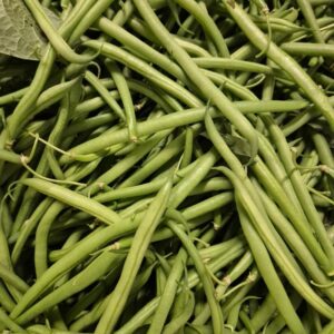 Haricots verts