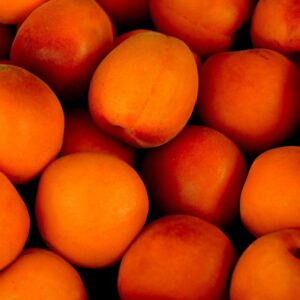 Abricots