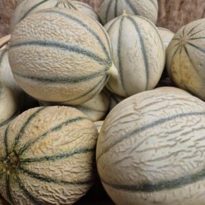 Melon Gros